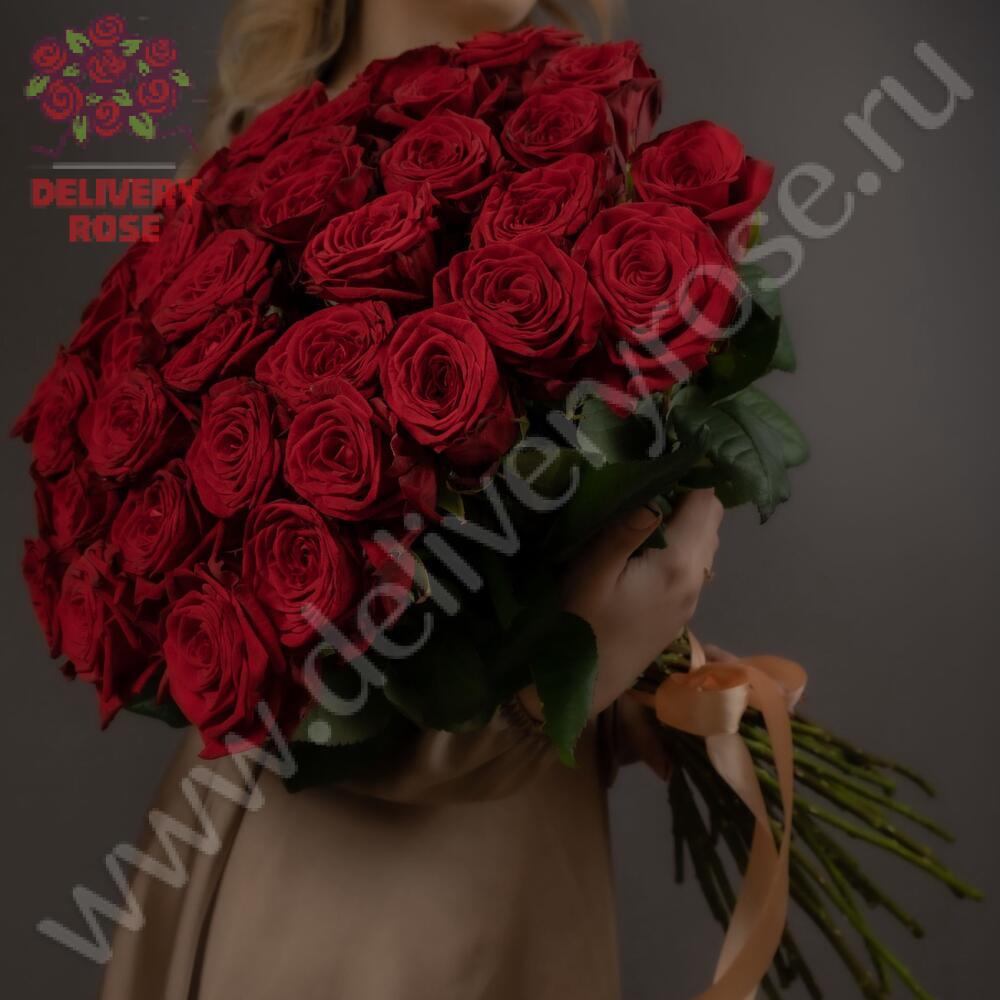 31 красная роза, высота 1 метр